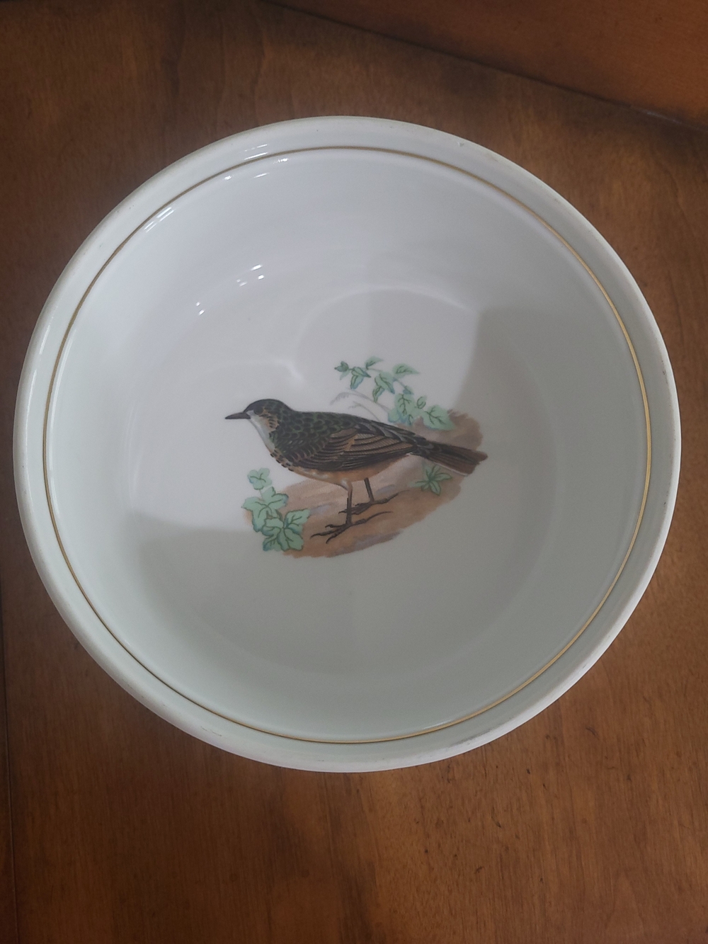 White Ceramic Bowl with Gold Rim and Bird Illustration